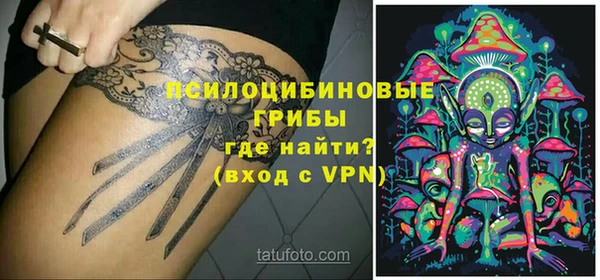 PSILOCYBIN Абдулино