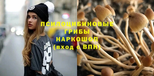 стафф Абаза