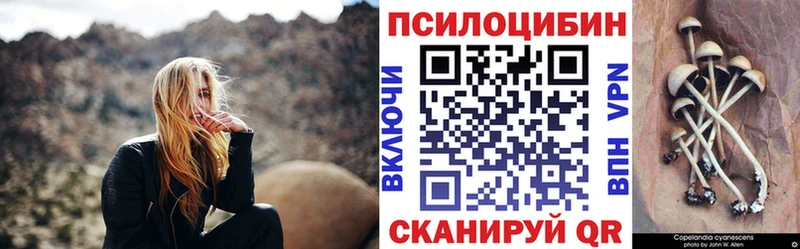 Галлюциногенные грибы Cubensis  где можно купить   Катайск 